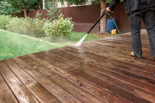 Best House Exterior Washing  in Louisburg, KS